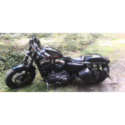 Sacoches Moto S89 SKULL H-D Sportster