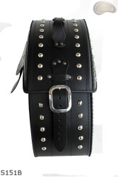 LEATHER SADDLEBAGS S151