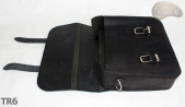 Sac bandoulière en cuir TR6